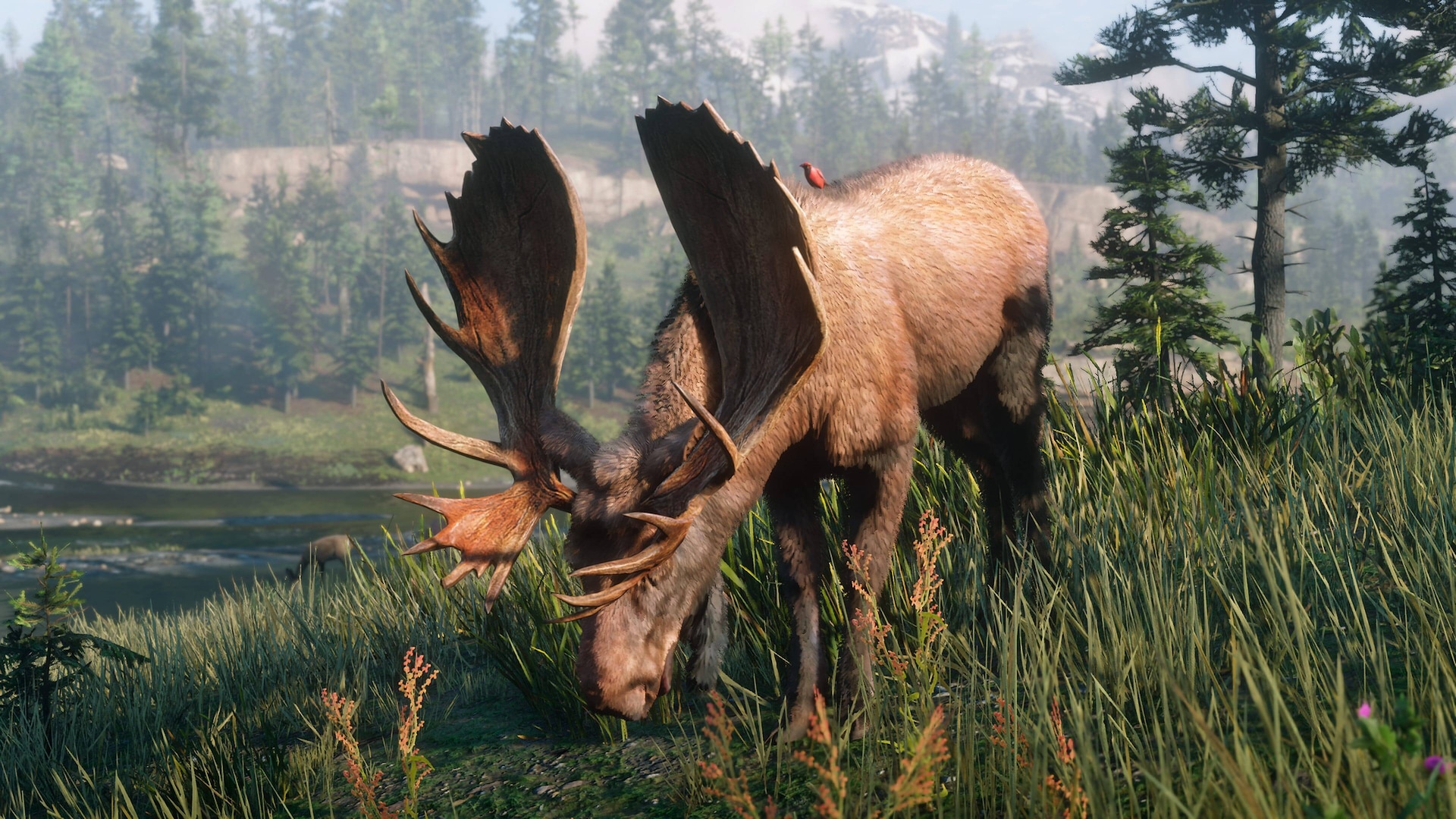 Wildlife / Red Dead Redemption 2 - Rockstar Games