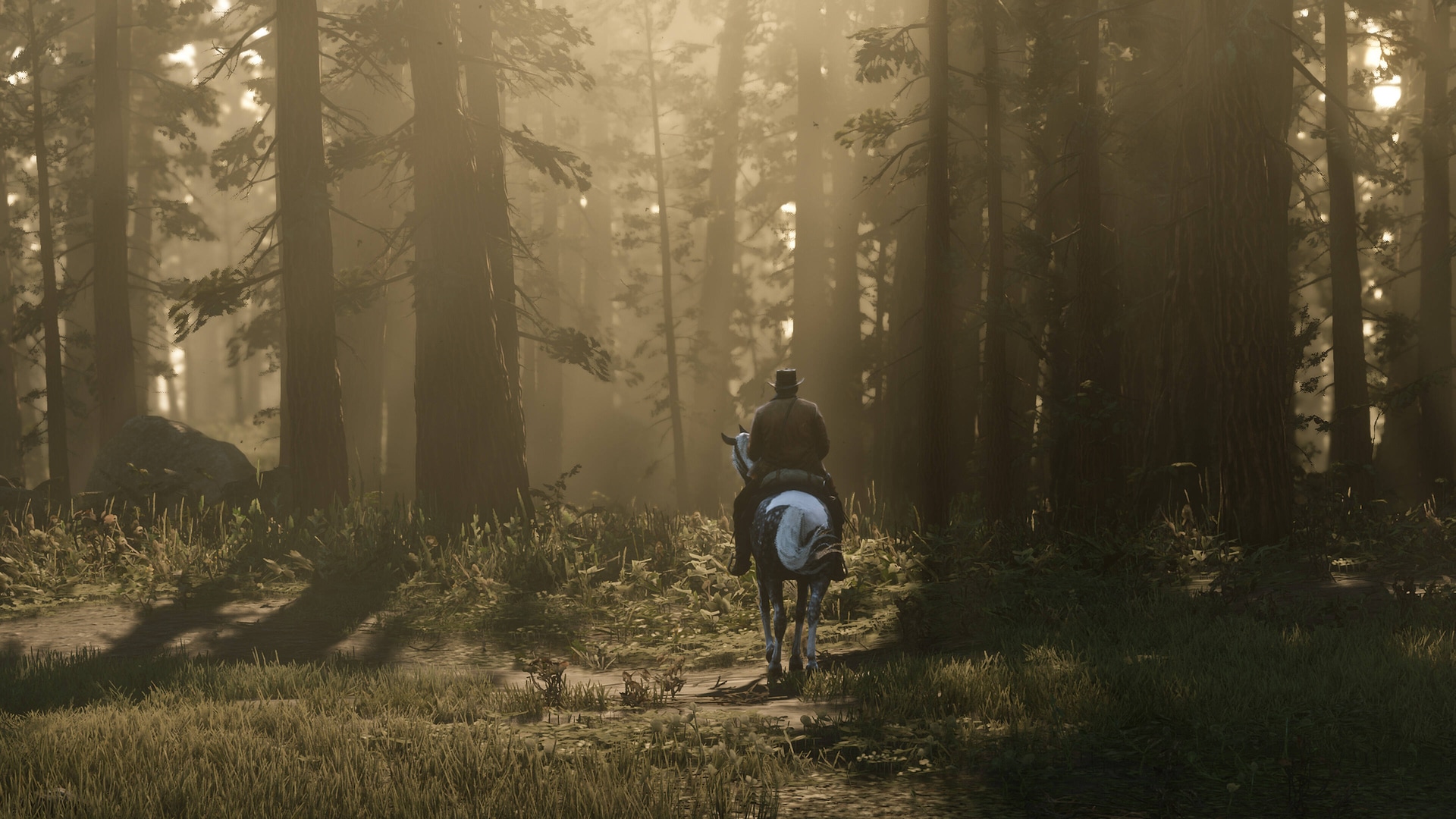 Red Dead Redemption 2 / Screens - Rockstar Games