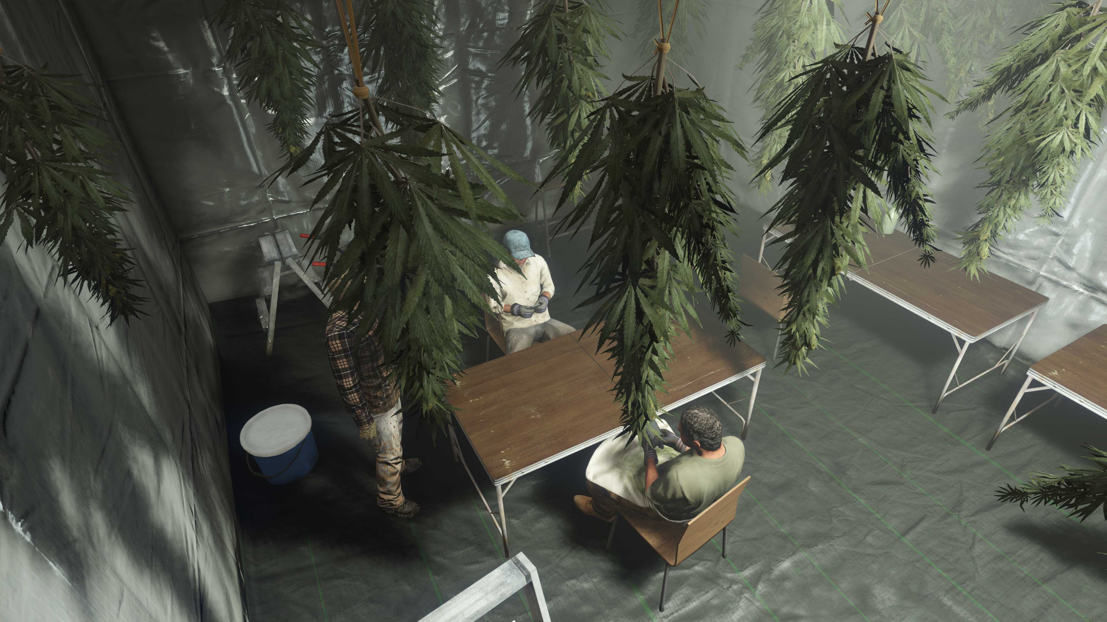 Três personagens em volta de uma mesa embaixo de plantas de maconha penduradas no teto.