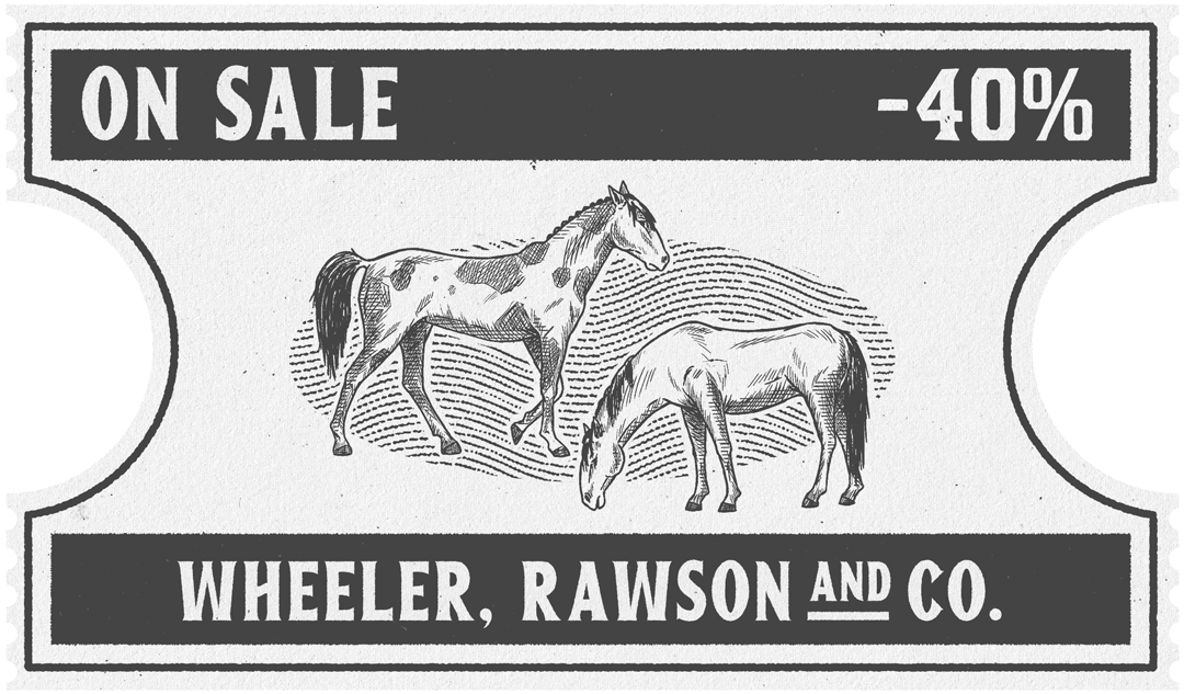 Cavalos Missouri Fox Trotter e Paint Horse Americanos. 40% de desconto.