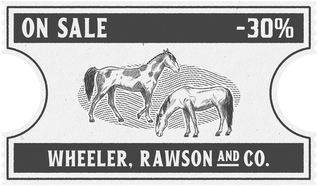 Cavalos Crioulo e Missouri Fox Trotter. 30% de desconto.